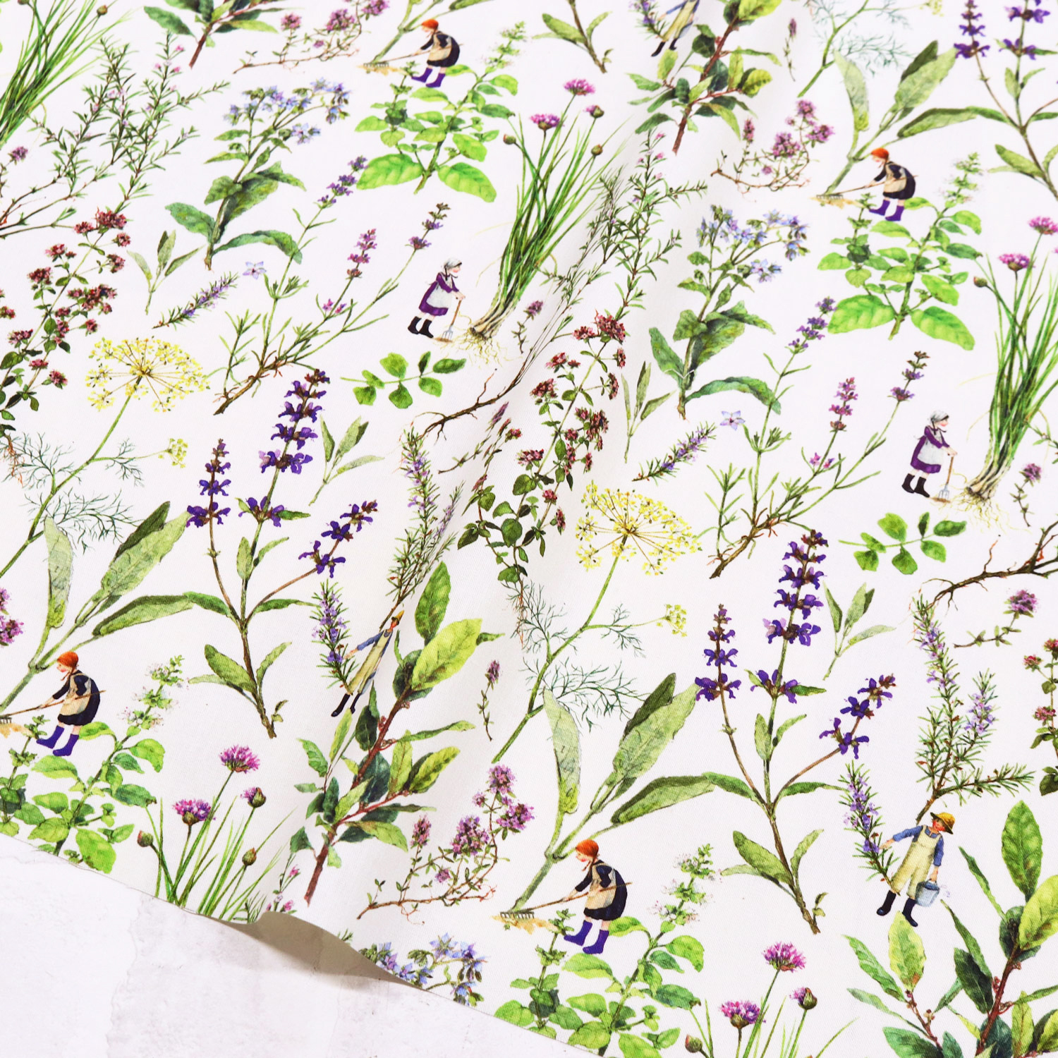 ■ACU3523-816R 植物と小人 acufactum プリント生地 約150cm幅 原反約10m巻 (巻)