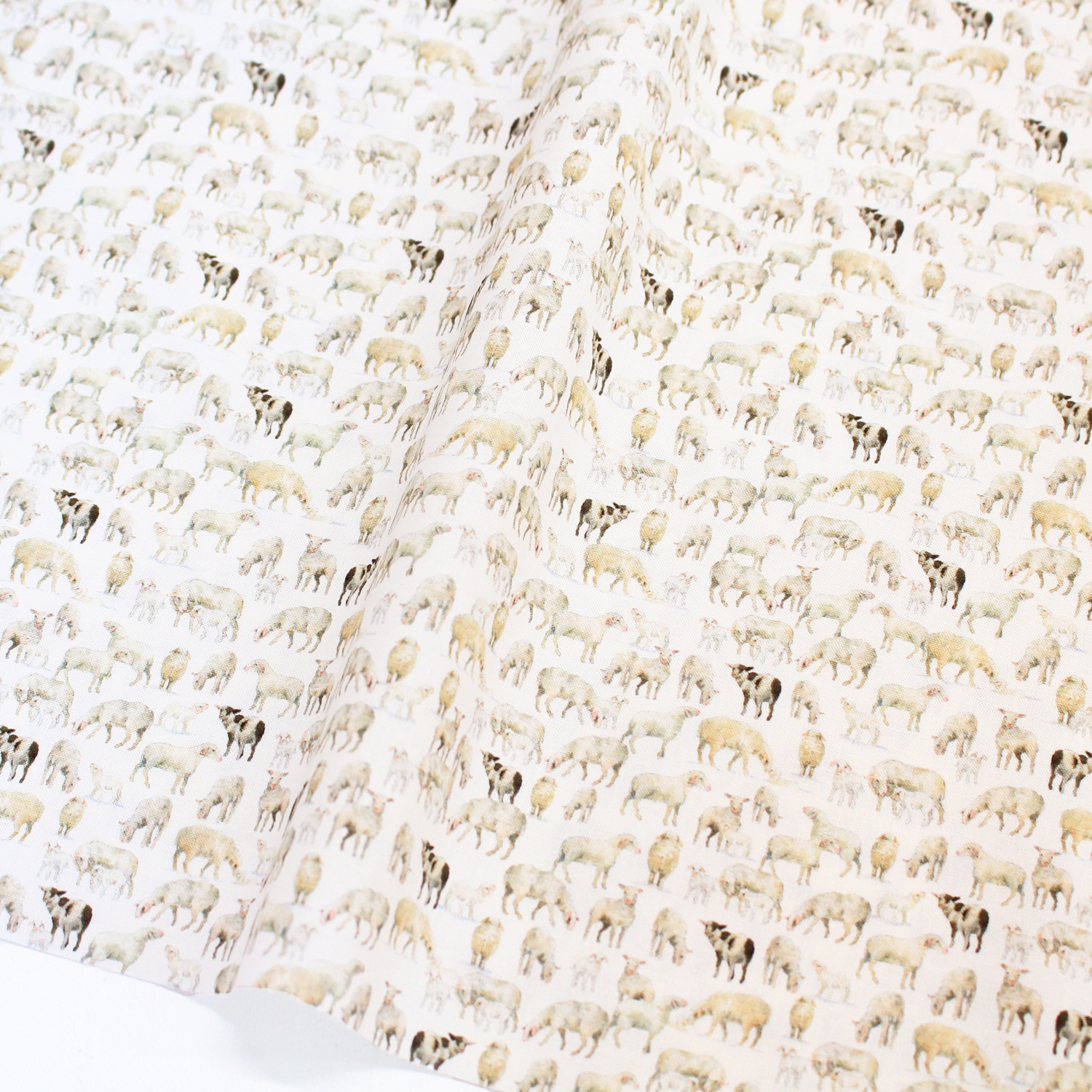 ■ACU3523-766R acufactum printed fabric approx. 150cm Width, 10m roll (roll)