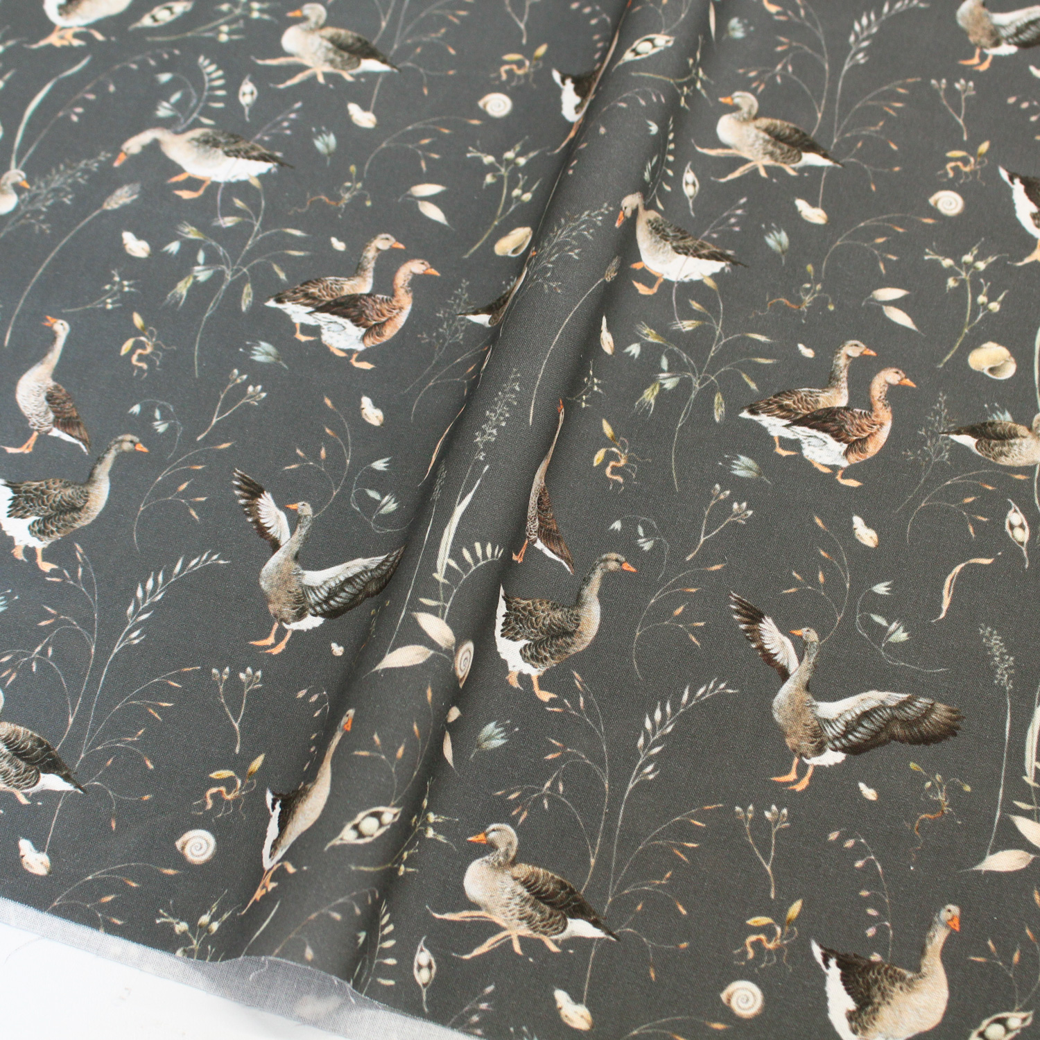 ■ACU3523-855R acufactum printed fabric approx. 150cm Width, 10m roll (roll)