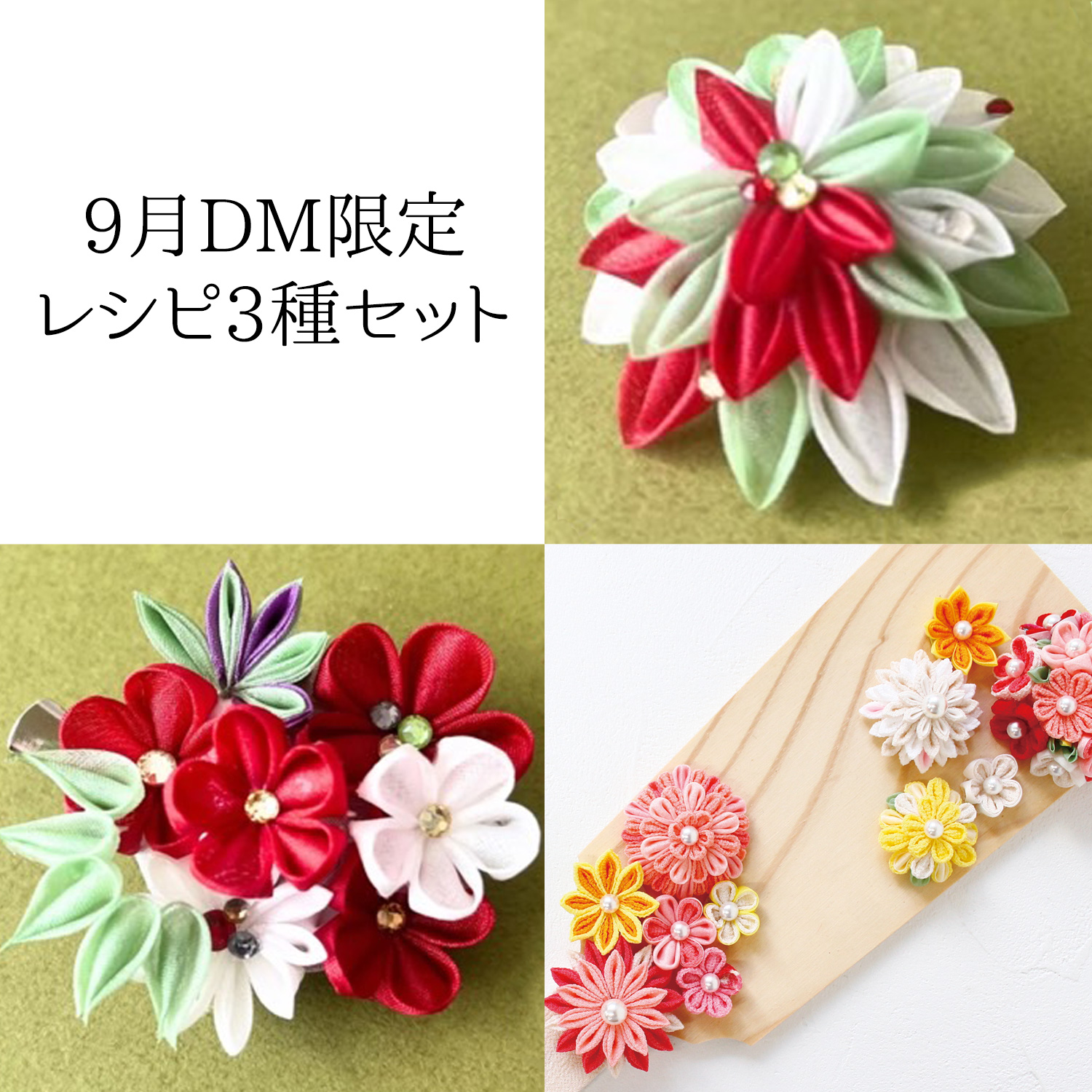 REC5-SET September Limited Tsumami Zaiku Recipe Set (Set)