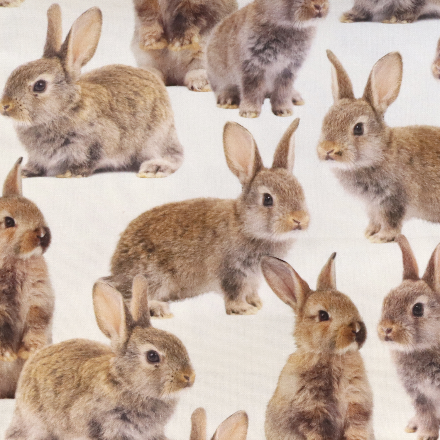 [Reservation] BB151030-1459 Rabbit Ox fabric Digital print Imported from Netherlands 140cm width 1m/unit (m)